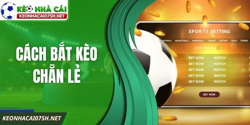 Cách Bắt Kèo Chẵn Lẻ Dựa Trên Phân Tích Cấu Trúc Bảng
