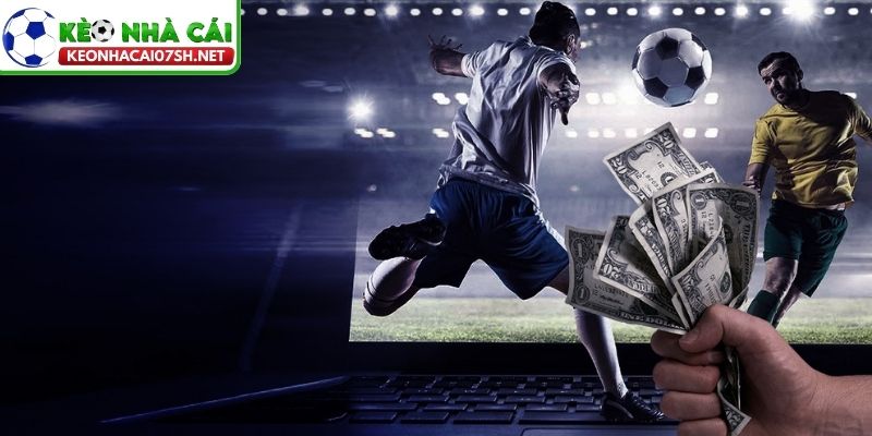 Cách đọc tỷ lệ cơ bản