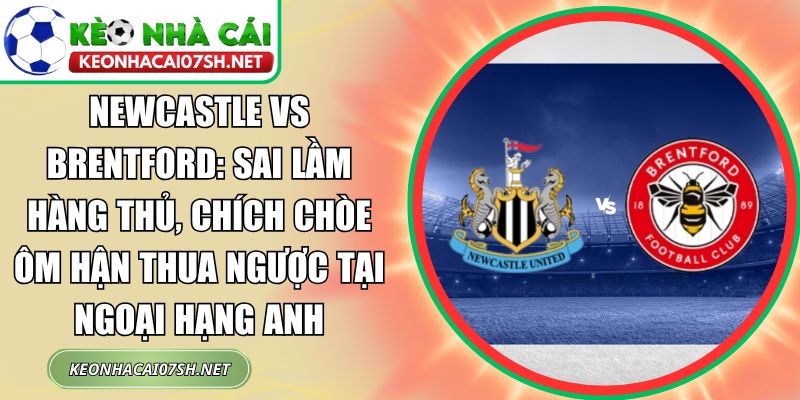 Newcastle vs Brentford: Sai lầm hàng thủ, Chích chòe ôm hận thua ngược tại Ngoại hạng Anh 1 Newcastle vs Brentford
