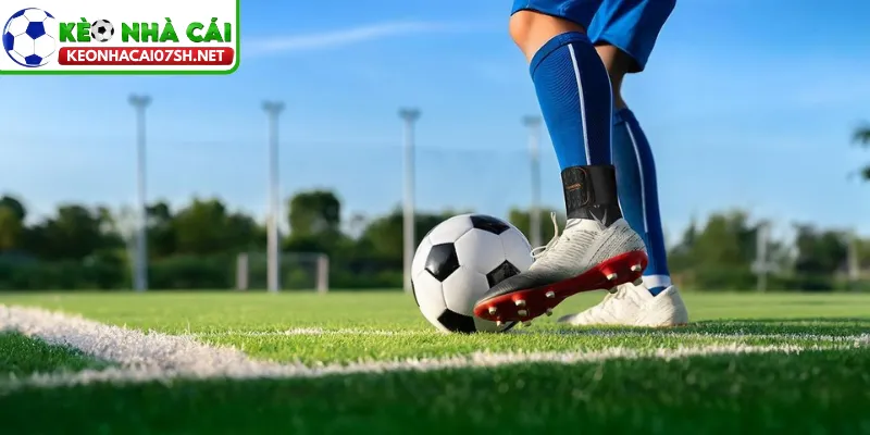 Nguyên tắc tính thắng thua trong vé cược